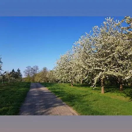 Quiet Place Lejlighed *