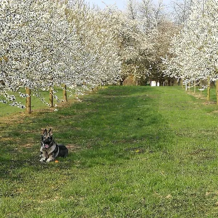 Lejlighed Quiet Place