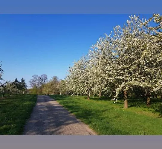 Quiet Place アパート *