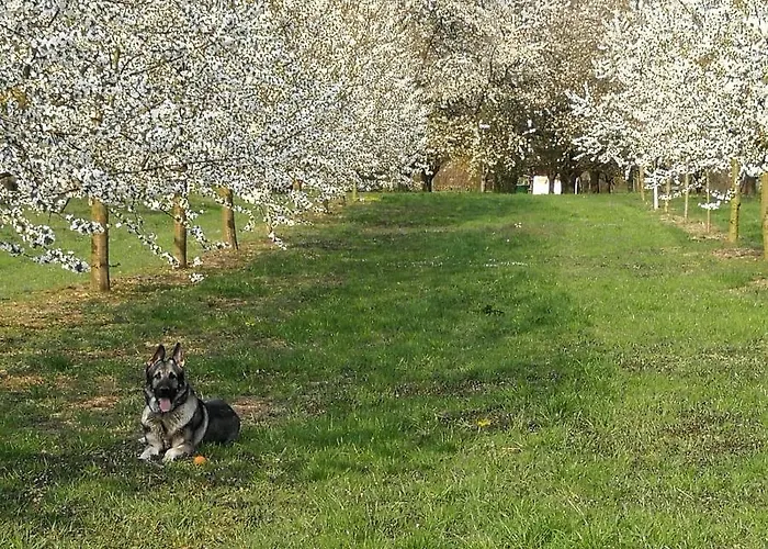 アパート Quiet Place