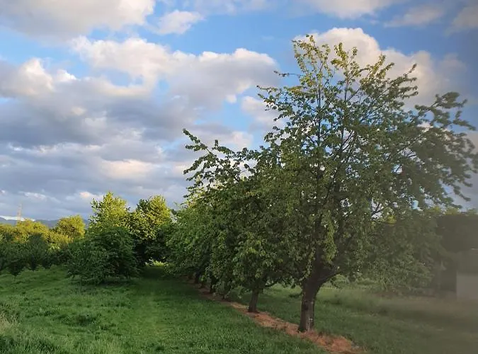 アパート Quiet Place *